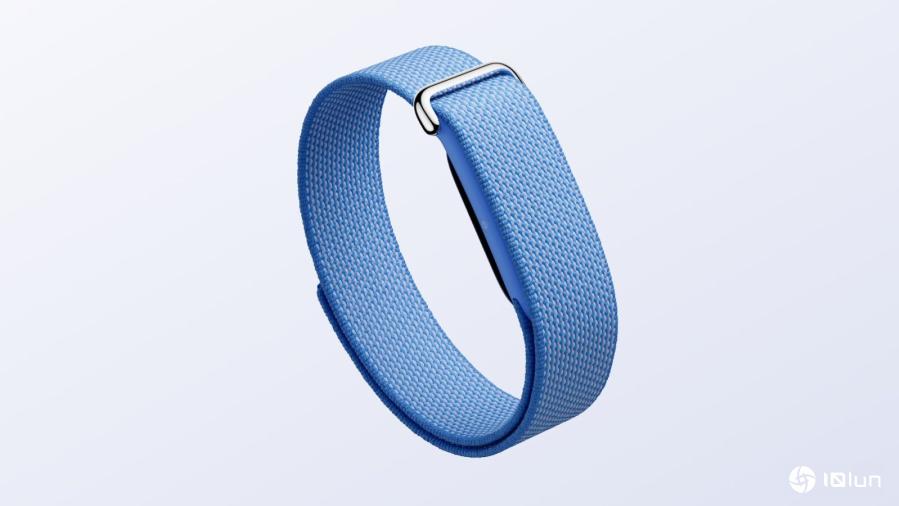 Fitbit Air拥有状态灯和双击手势，并获得Whoop尺寸对比