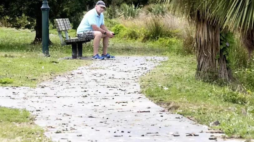 加拿大鹅，快把新西兰人逼疯了