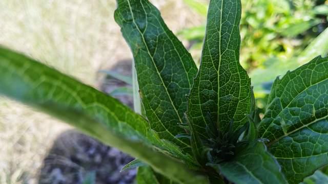 孩子沉迷手机时，断网硬抢都没用，用3步立规循序渐进，慢慢戒断