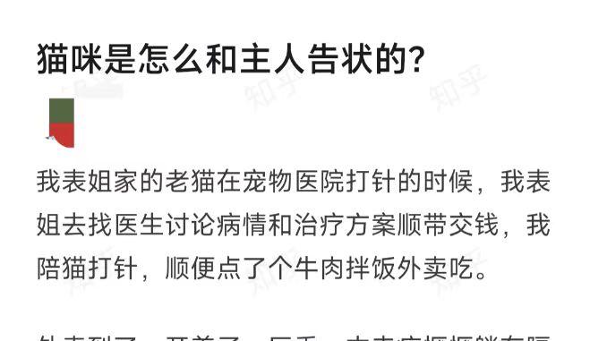 猫咪是怎么和主人告状的？