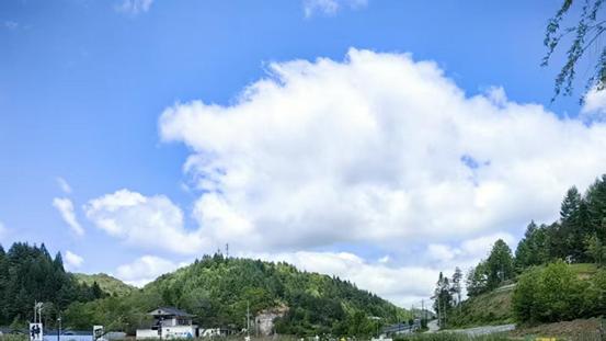 山乡礼赞：沃土之上，向阳而生 | 李明然