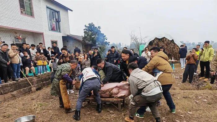 “邀请网友杀年猪”，热闹之后是心寒？