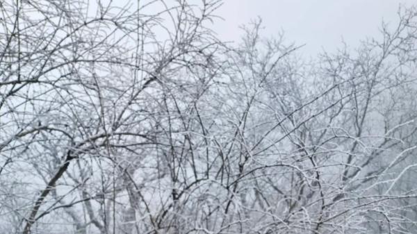 窗含西岭千秋雪，雪韵山林万世情！