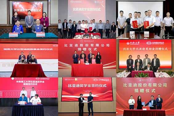 大学老师为何都选择了比亚迪