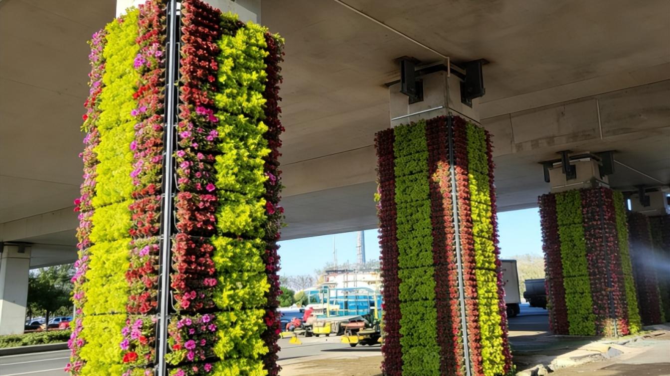 2026年保定马拉松要来啦！赛道沿线缤纷景观先睹为快