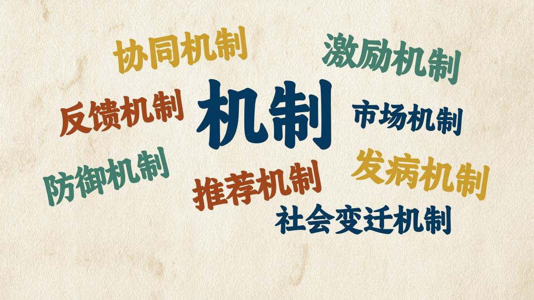 什么是机制?