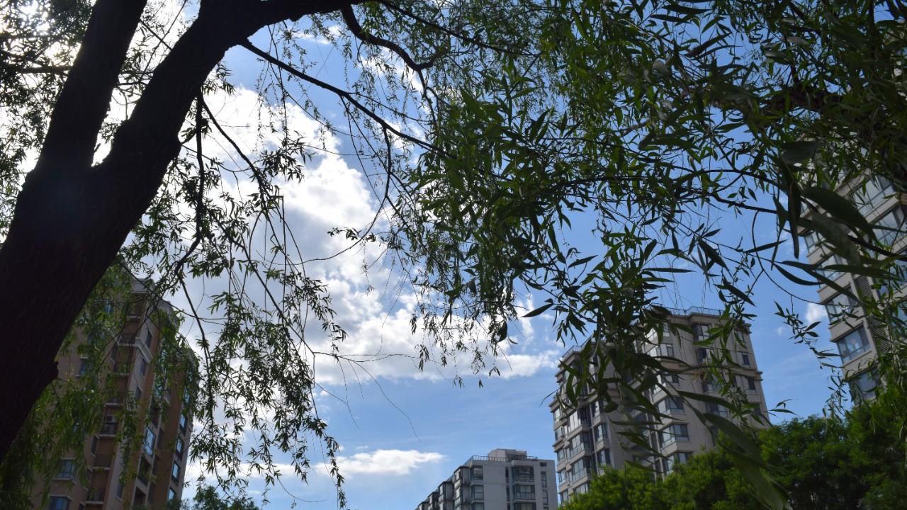 为什么深夜总是特别想一个人