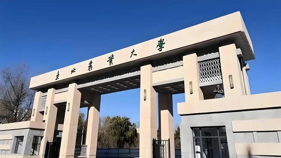 太友好了，在广西招生人数最多的6所211大学