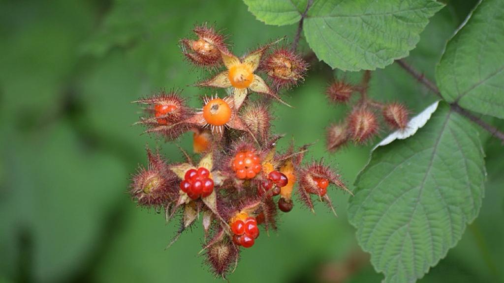 为什么涨得最猛的，偏偏是最土的那些板块？