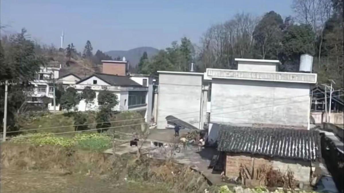 贵州男子抱女友跳河致其溺亡潜逃17年归案，周兆成：情感纠纷不能逾越刑事法律红线！