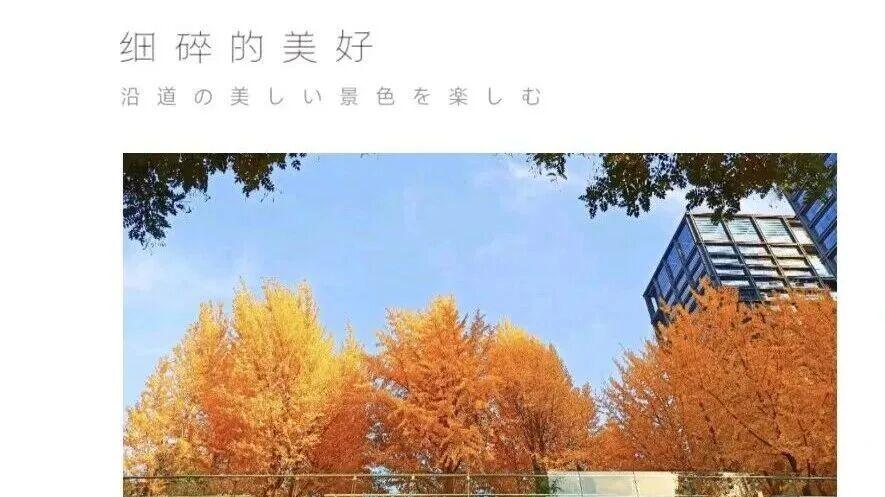 职场笔话｜重生之我在五道口干外包（面壁智能End篇）