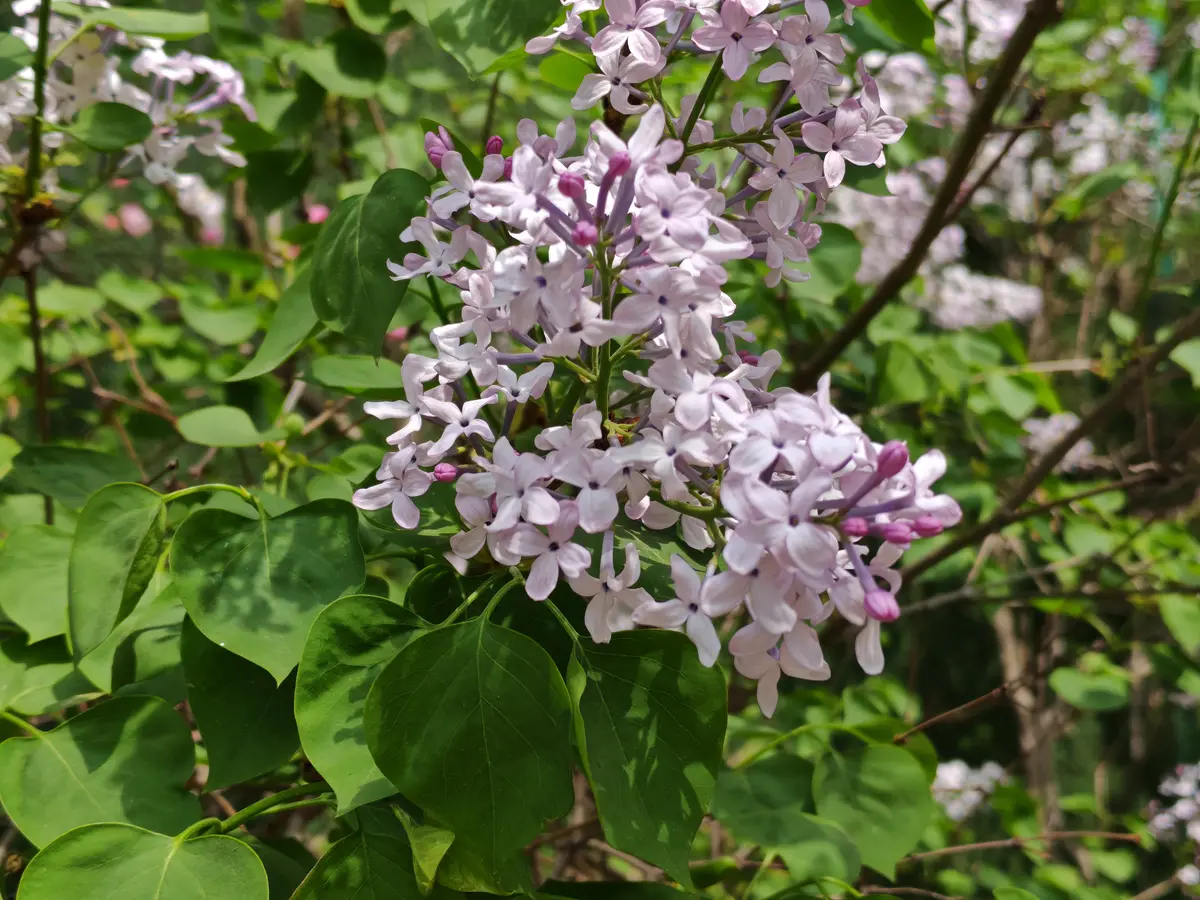 清醒自知，从容前行