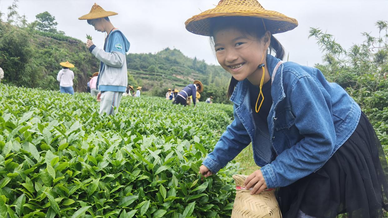 春日厦门避坑｜别再人挤人！来同安军营村赏花摘野果0元自驾游