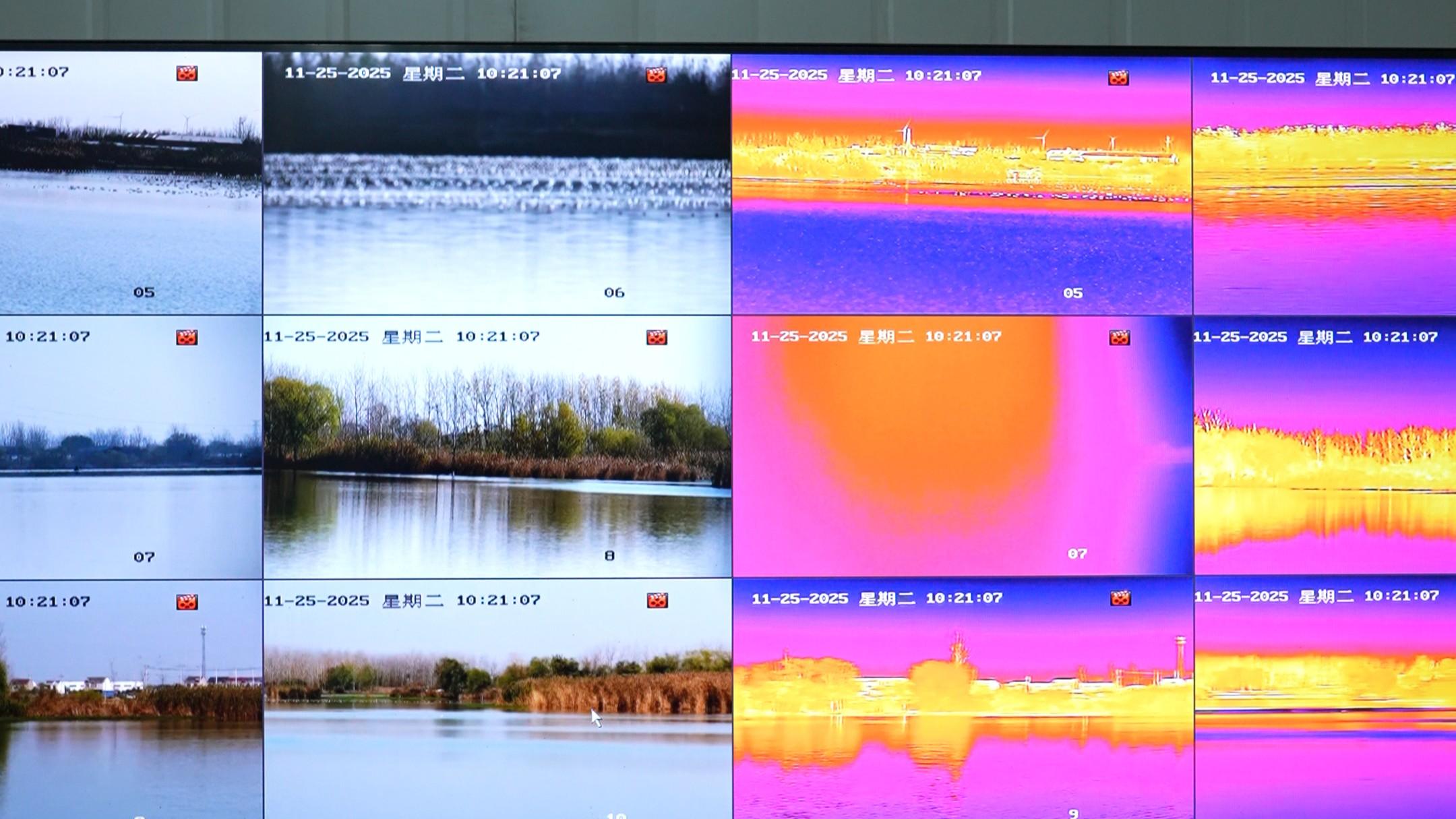 开蚌取珍珠，礼兰珠宝实力上榜《中国宝石》 淡水珍珠品质逆袭，媲美海水珠