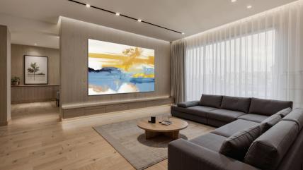 好画质不止高色域，TCL Q10M 画质铁三角表现出色