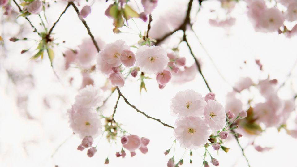 搭伙60天后我提出分手：他找的不是老伴，而是带薪的“免费保姆”