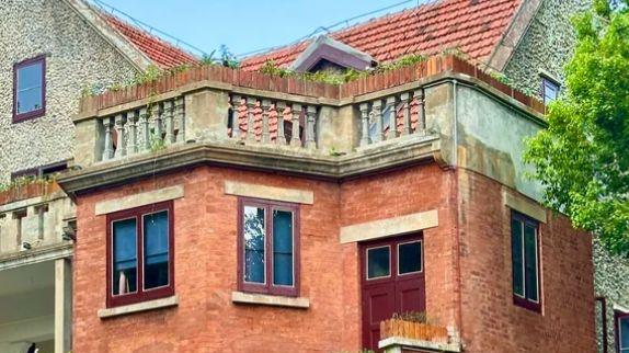 在梧桐光影里，丈量黎黄陂路的时光厚度