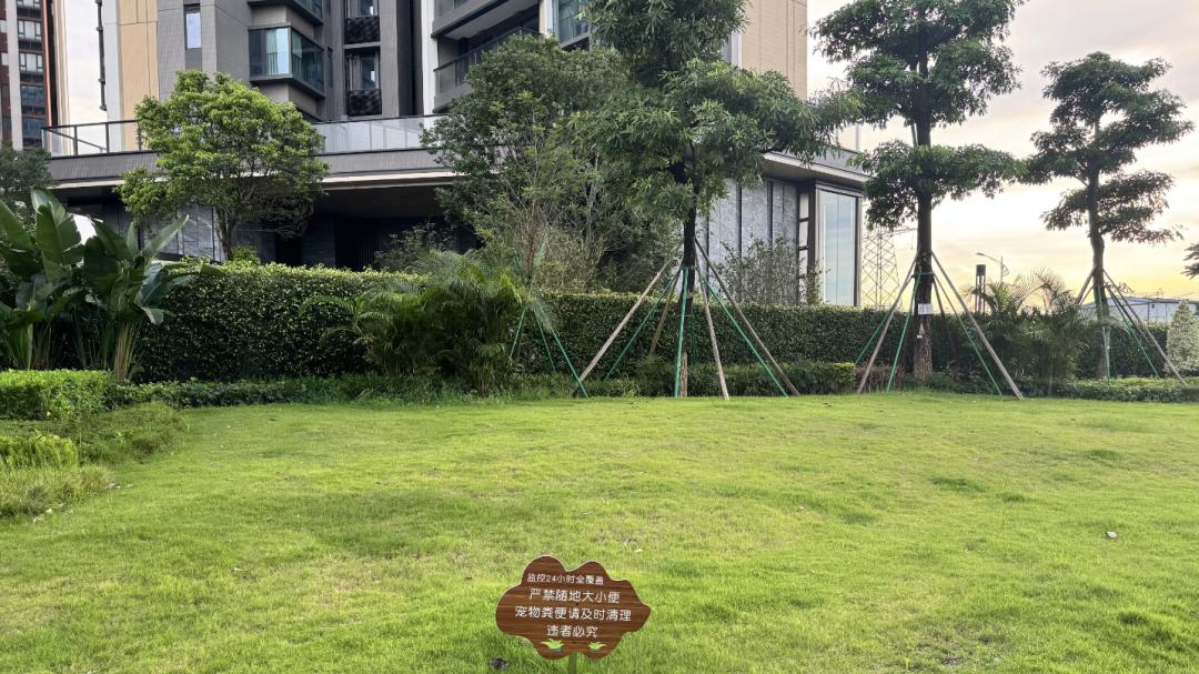广州南站旁草坪曾有十余人便溺引投诉，多部门联动整改加公厕指引强巡逻