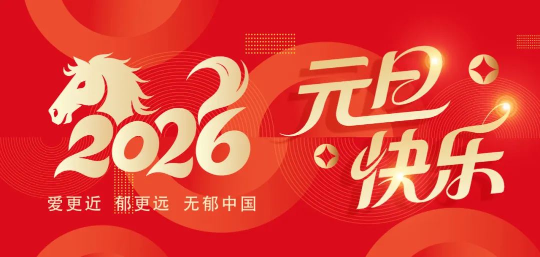 跨越2025，数字郁金香，2026年，我们携手再出发