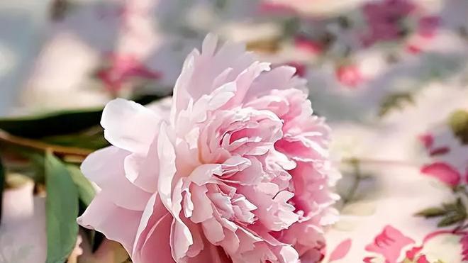 一个男人能忍住不联系你，到底是忙，还是你不重要？