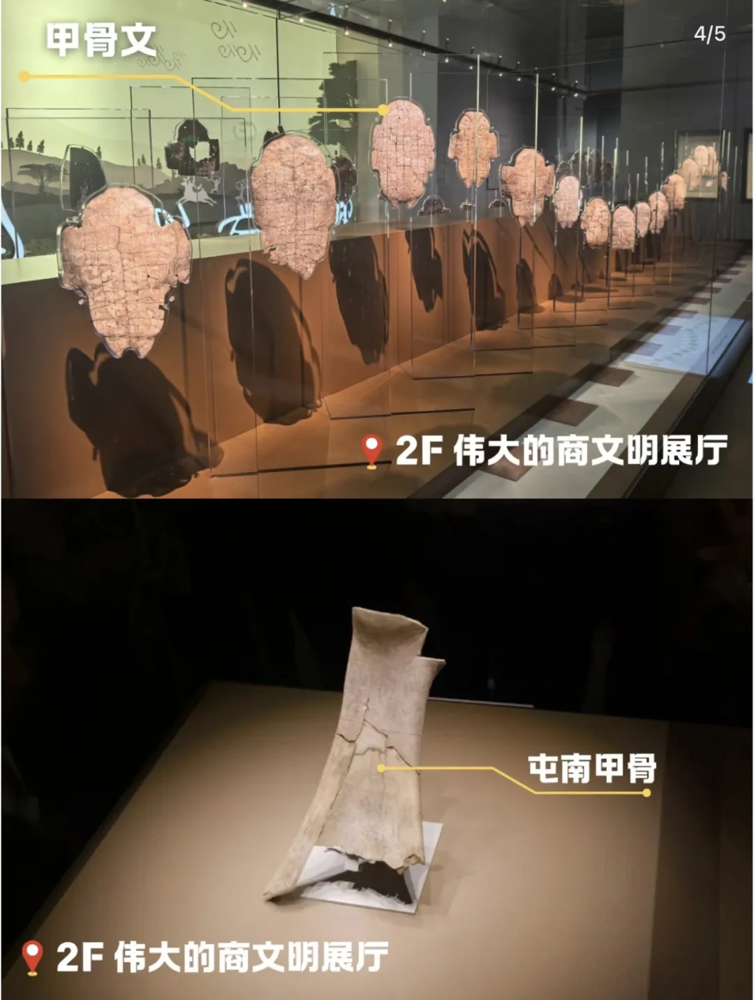 乌尔善重温《封神》采风之旅  殷墟遗址、青铜器美学及甲骨文为电影创作注入灵感