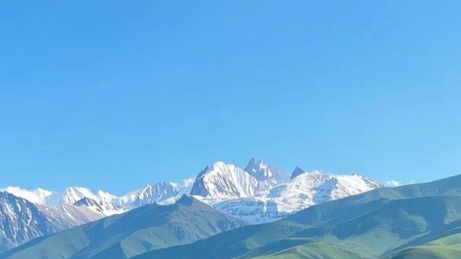 从雪顶云杉到茵茵草甸，层次分明品读祁连山原生自然格局
