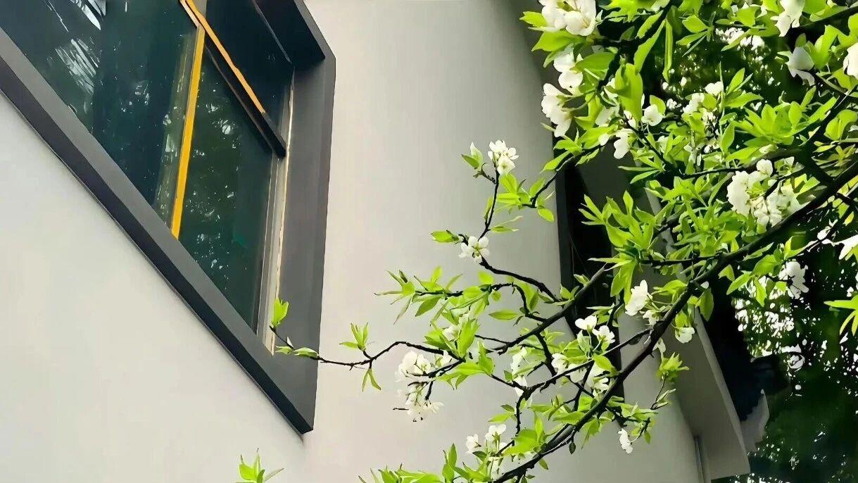 性格藏于骨，温柔不外露