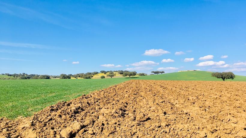 农民土地权益保卫战：26年维权路的艰辛与希望