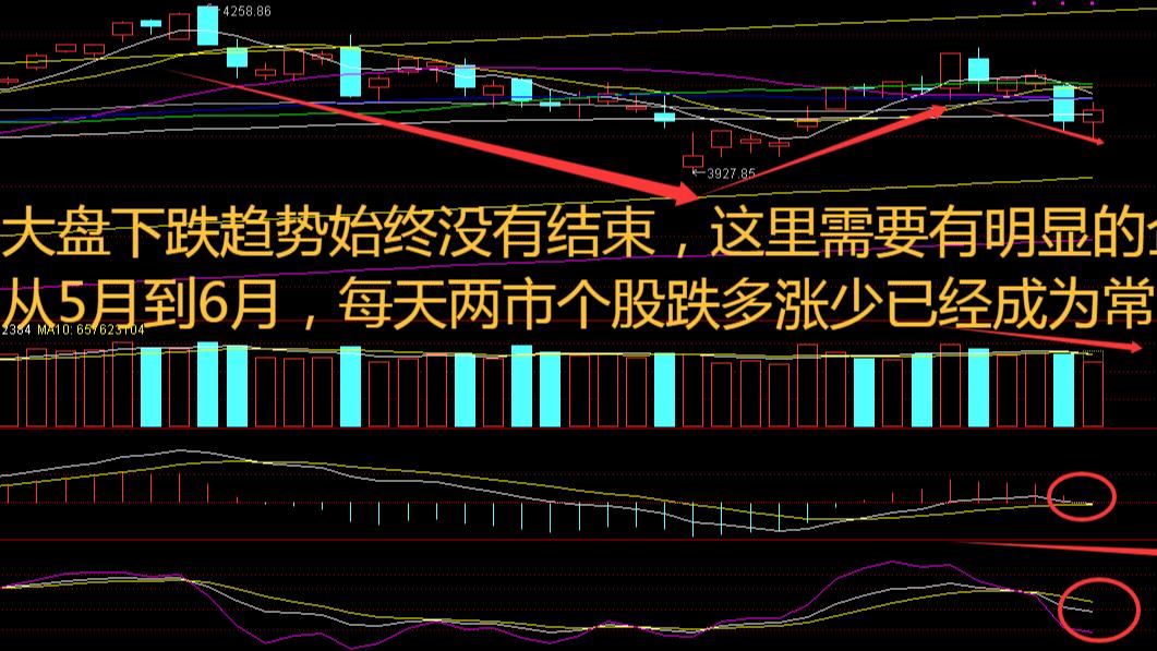 大盘震荡无需恐慌！医药板块爆发，后市机会怎么抓？