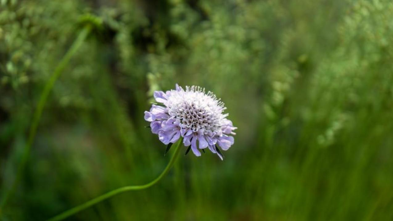 “老公出轨后，我再也不让他碰”：这样惩罚有没有意义？