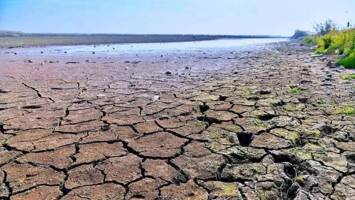 才5月份印度今天就已经热到50℃ 进入烧烤模式