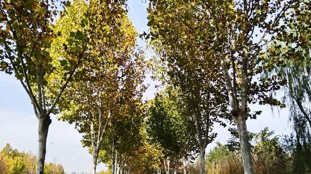 想让孩子主动学习，先修复亲子关系，关系和谐成绩自然上来