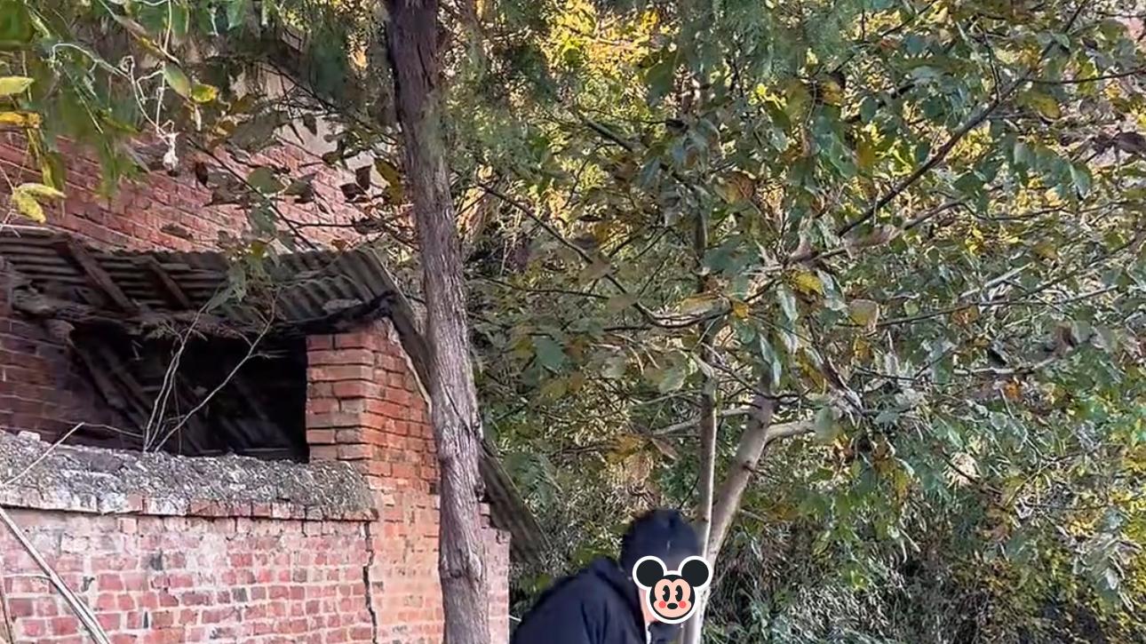 男子把车停在路边下菜地解手，刚要蹲下，才发现一对情侣就在旁边