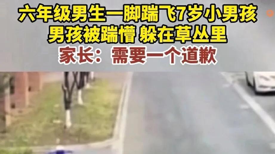 7岁小孩被踢飞！家长只要道歉，网友怒：白踹了？心理阴影能解？
