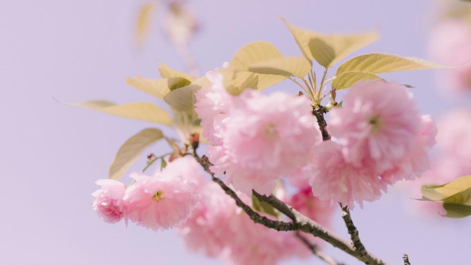 因前妻出轨离婚3年，我要不要为了女儿，和交往半年的女朋友分手