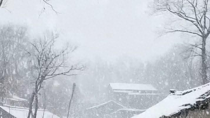 嫂子进门娘走了，我跟着她长大；我出嫁时哥没了，嫂子说：我背你