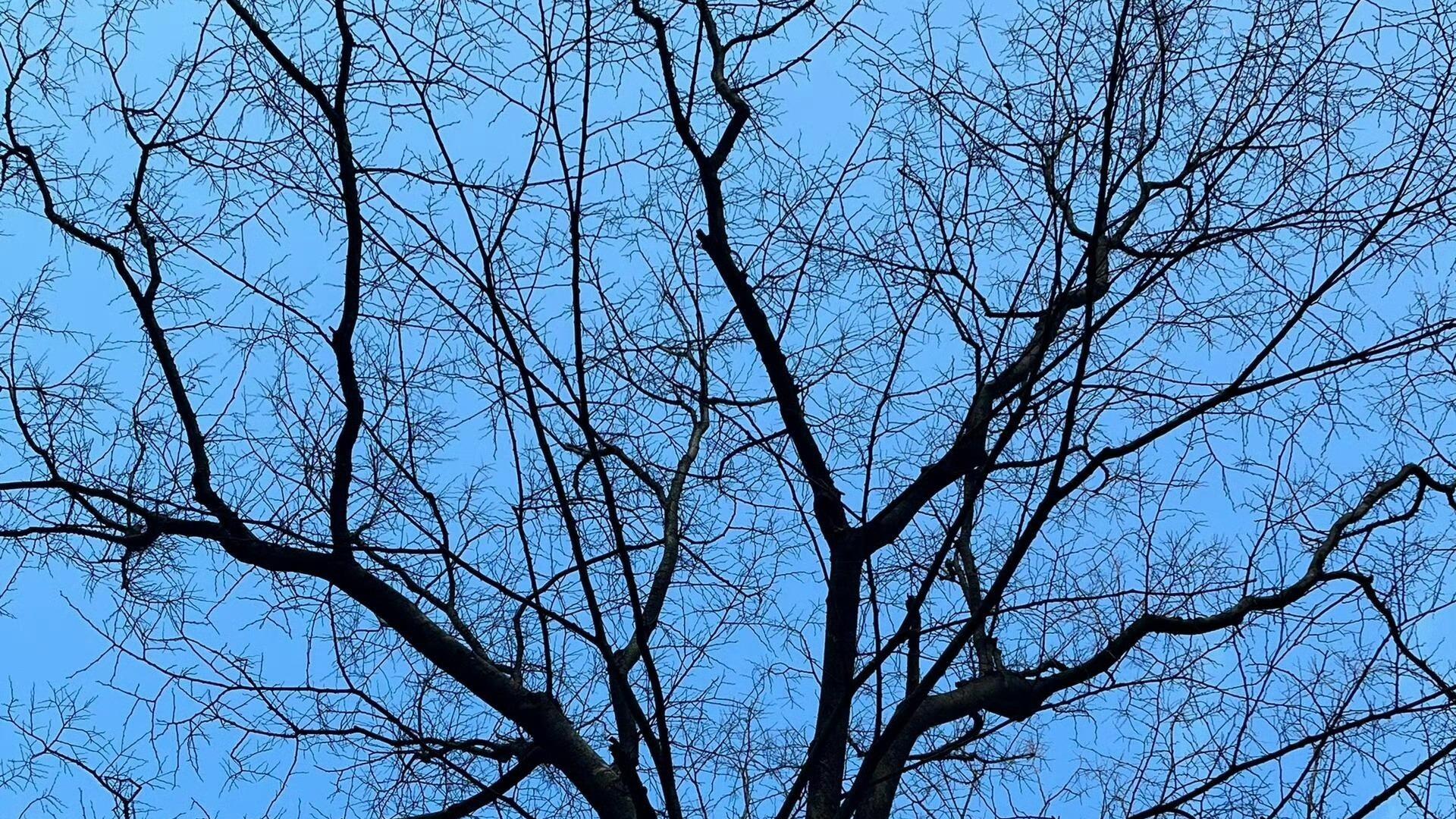 如何让自己的运气好起来？这30件小事，正在悄悄改变你的磁场