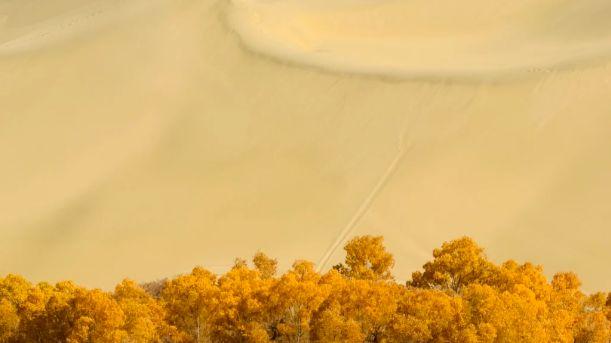 胡杨映碧水，金沙绕蓝湾，这是罗布湖独有的沙漠浪漫