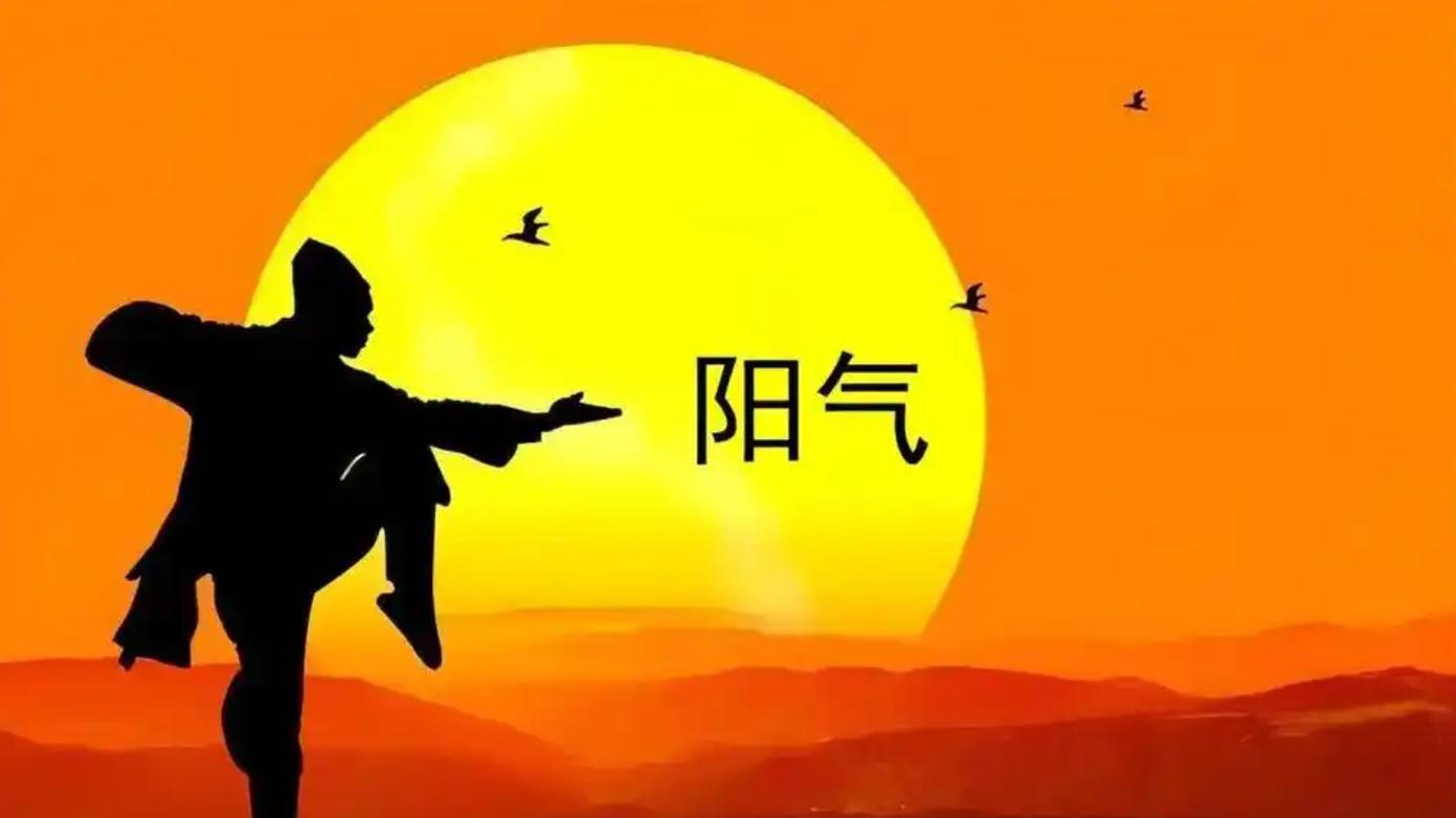 阳气是生命本质，怎样养足阳气