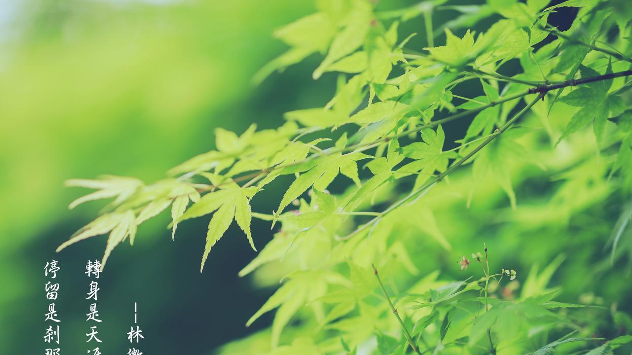 为什么过得越好的人，越不会跟你计较？