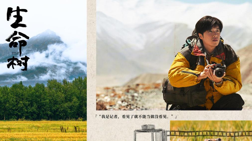 《生命树》用生命拍生命，实景镜头被中科院收为科研素材