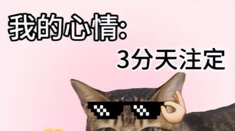 兜里只剩34块，逆子给我安排了14天开销，这年还能过吗？