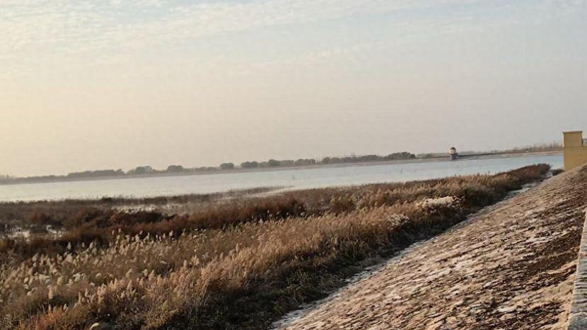 青岛即墨：普东水库疑成排污粪坑