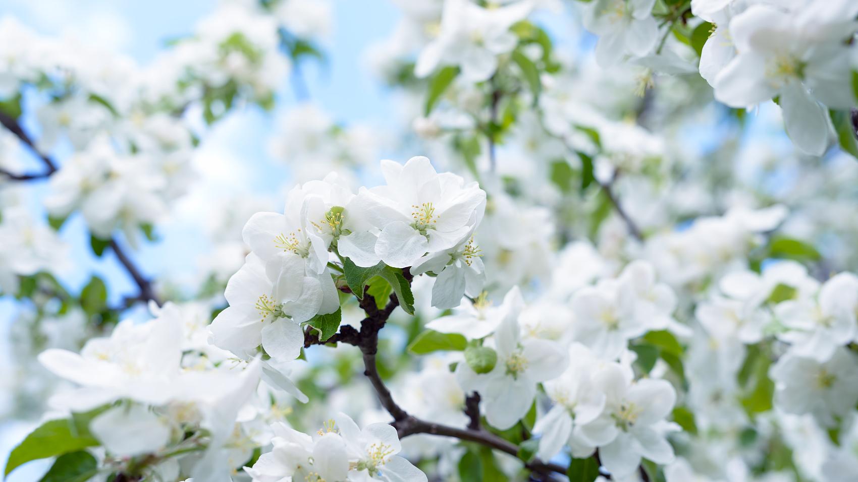 汪缘堂对丙火进行最通透的现代化诠释