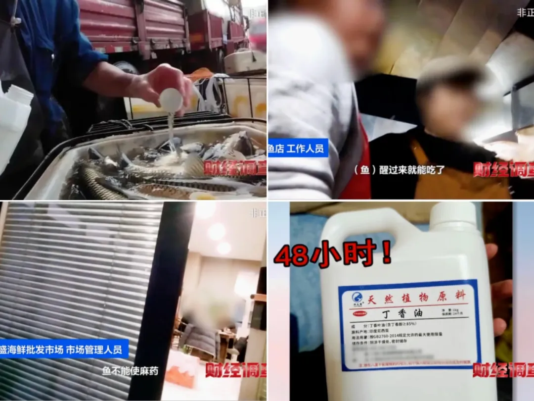 央视曝光：你买的活鱼比死鱼还毒！我们还有什么敢吃能吃想吃？