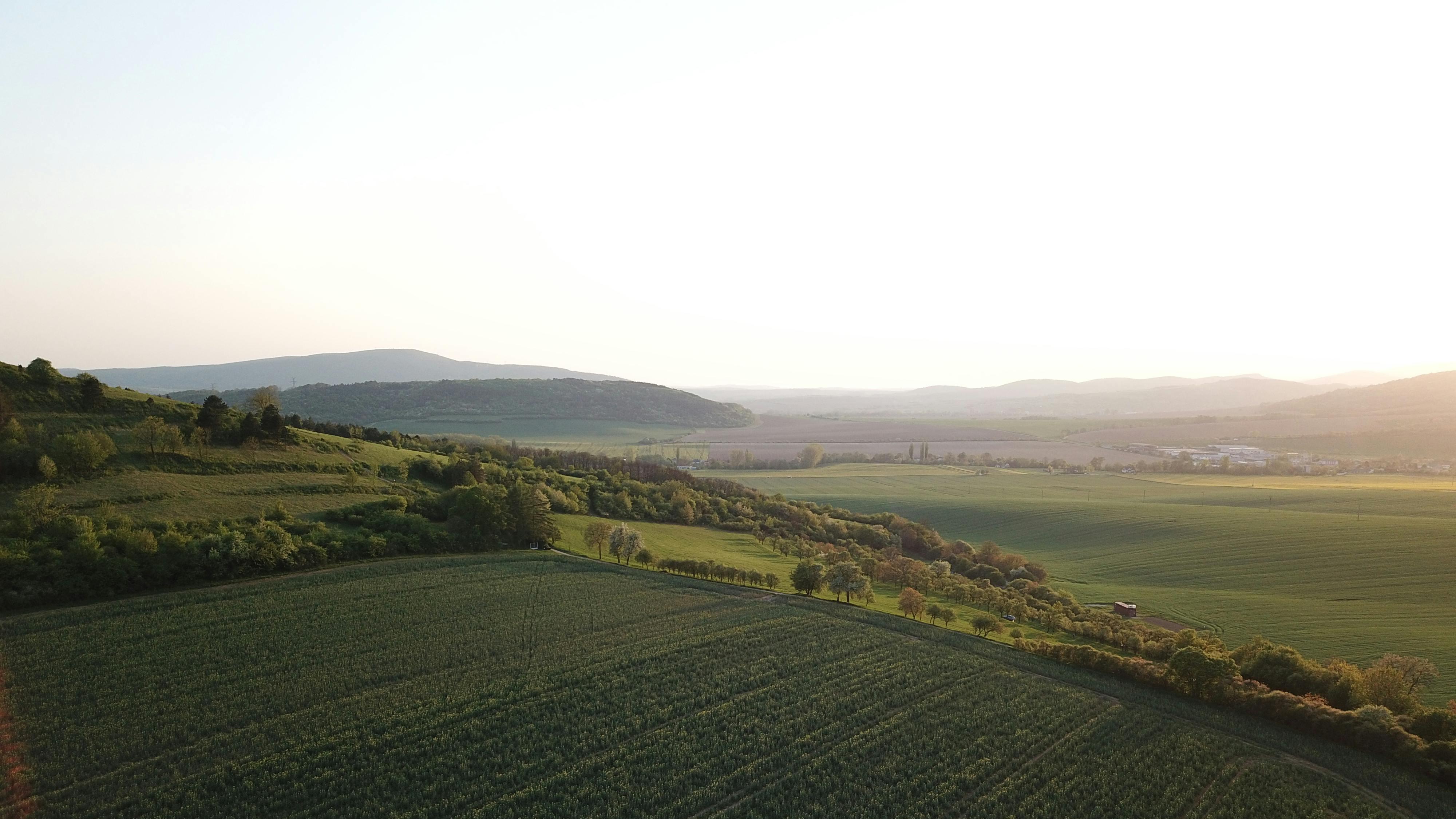 我们为什么总是为还没发生的事害怕