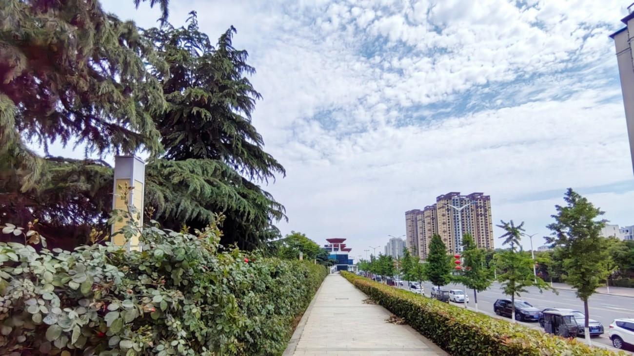 清愁：风拂沙洲寄流年