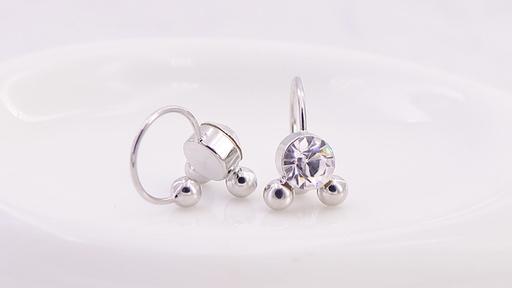 耳夹源头厂，品质靠谱可长期合作