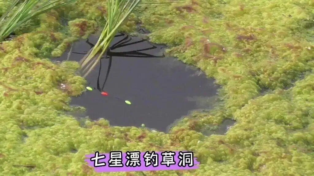 七星漂输给台钓，不是技术是生意！渔具店老板不会告诉你的真相