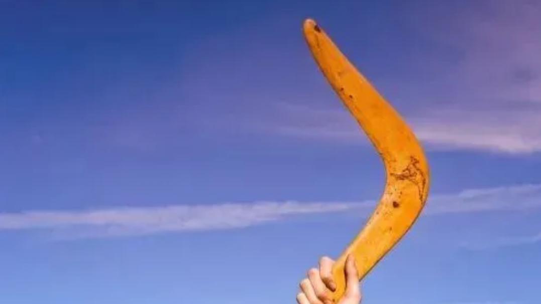 逻辑回旋镖：反击 (Apply to Self) —— 让逻辑自食其果，产生自省